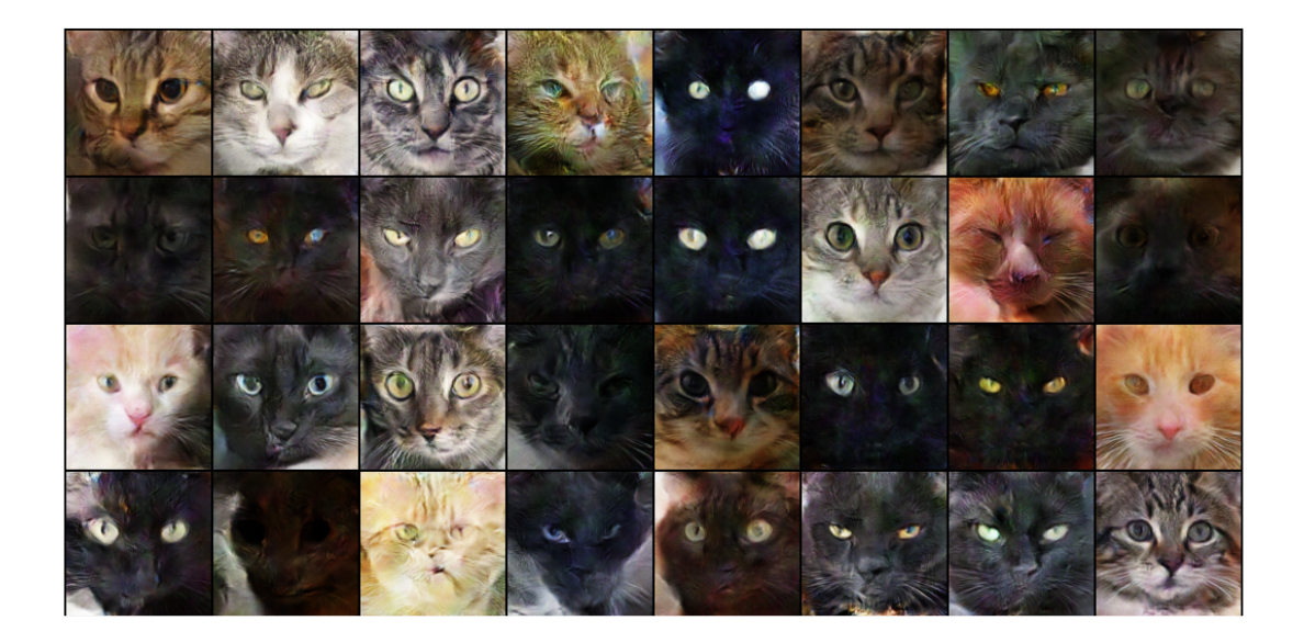 bmat.com_AI-cat-image-identification